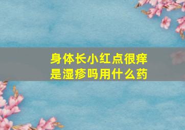 身体长小红点很痒是湿疹吗用什么药