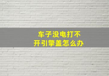 车子没电打不开引擎盖怎么办