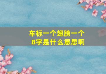 车标一个翅膀一个8字是什么意思啊