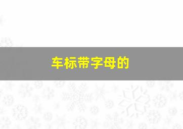 车标带字母的