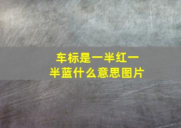 车标是一半红一半蓝什么意思图片