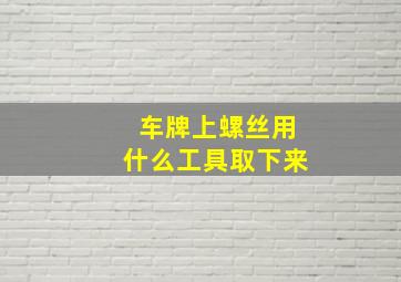 车牌上螺丝用什么工具取下来