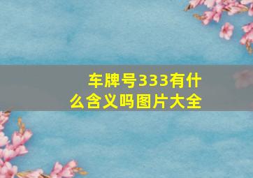 车牌号333有什么含义吗图片大全