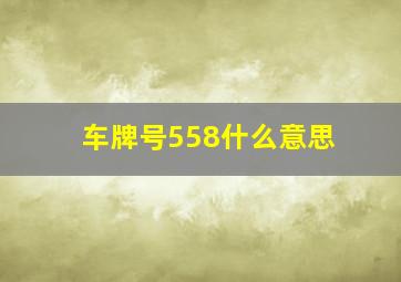 车牌号558什么意思