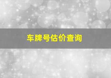 车牌号估价查询