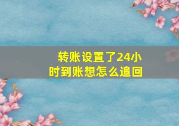 转账设置了24小时到账想怎么追回