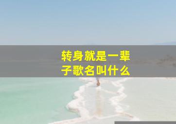 转身就是一辈子歌名叫什么