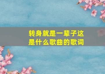 转身就是一辈子这是什么歌曲的歌词