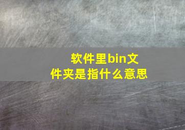 软件里bin文件夹是指什么意思