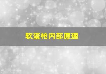 软蛋枪内部原理