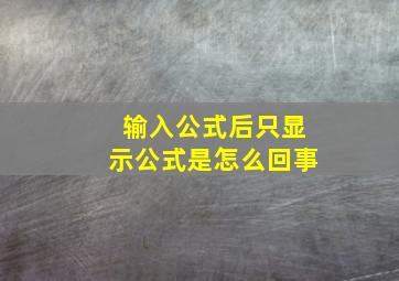 输入公式后只显示公式是怎么回事