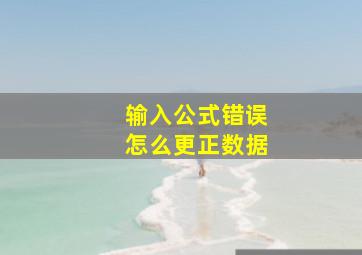 输入公式错误怎么更正数据