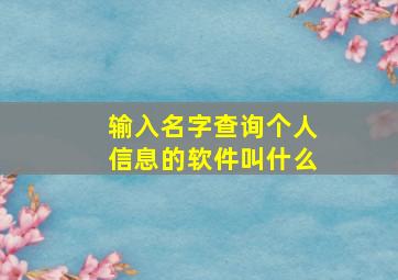 输入名字查询个人信息的软件叫什么