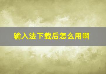 输入法下载后怎么用啊