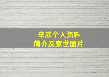 辛欣个人资料简介及家世图片