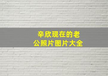 辛欣现在的老公照片图片大全