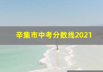 辛集市中考分数线2021