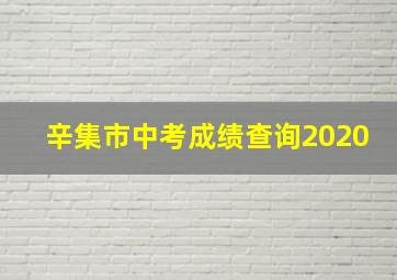 辛集市中考成绩查询2020