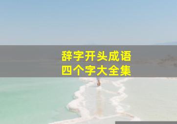 辞字开头成语四个字大全集