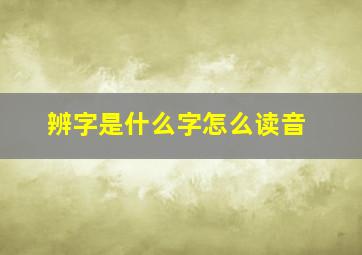 辨字是什么字怎么读音