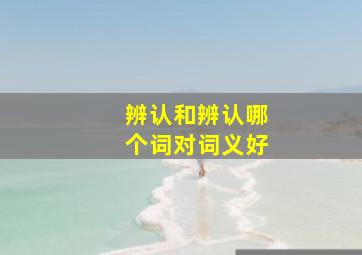 辨认和辨认哪个词对词义好