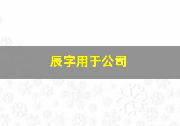 辰字用于公司