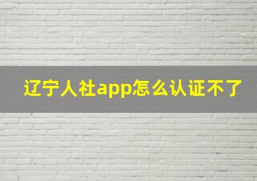 辽宁人社app怎么认证不了