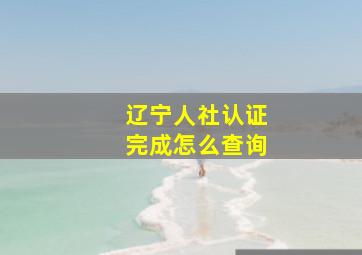 辽宁人社认证完成怎么查询