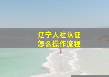 辽宁人社认证怎么操作流程