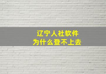 辽宁人社软件为什么登不上去