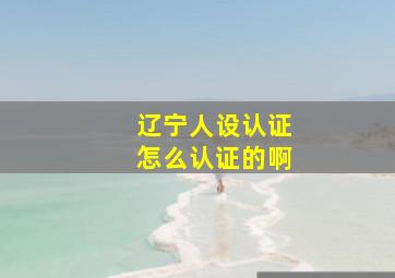 辽宁人设认证怎么认证的啊