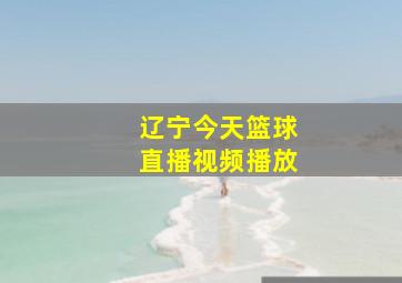 辽宁今天篮球直播视频播放