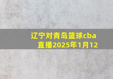 辽宁对青岛篮球cba直播2025年1月12