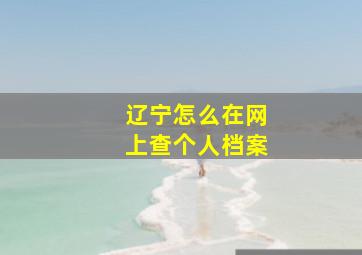 辽宁怎么在网上查个人档案