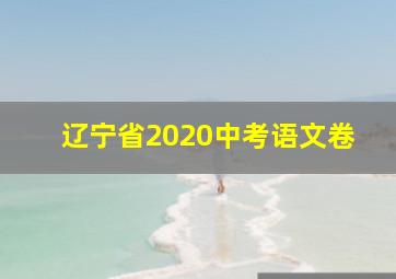 辽宁省2020中考语文卷