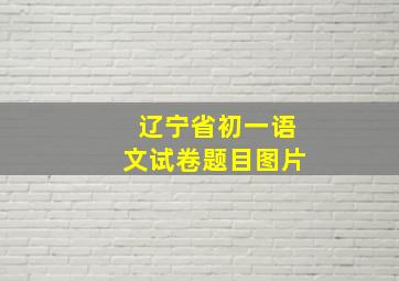 辽宁省初一语文试卷题目图片