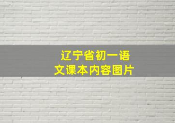 辽宁省初一语文课本内容图片