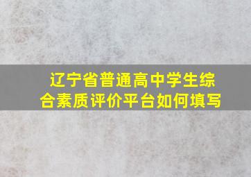 辽宁省普通高中学生综合素质评价平台如何填写