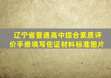 辽宁省普通高中综合素质评价手册填写佐证材料标准图片