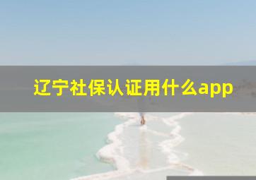 辽宁社保认证用什么app