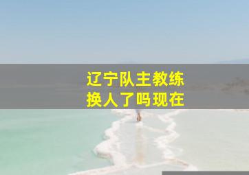 辽宁队主教练换人了吗现在