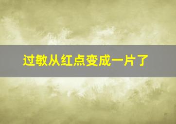 过敏从红点变成一片了