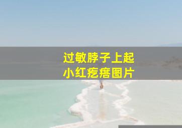 过敏脖子上起小红疙瘩图片