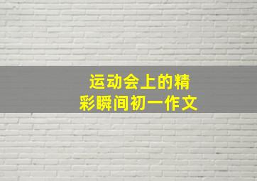 运动会上的精彩瞬间初一作文