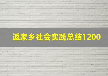 返家乡社会实践总结1200