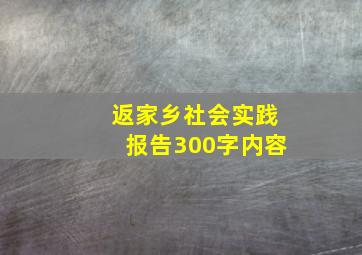 返家乡社会实践报告300字内容