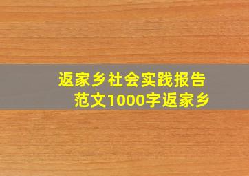 返家乡社会实践报告范文1000字返家乡