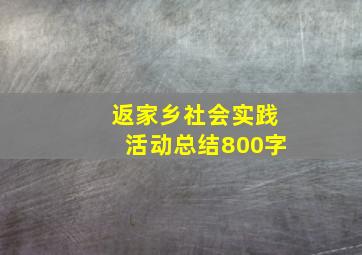 返家乡社会实践活动总结800字