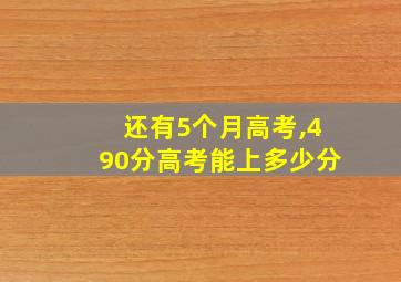 还有5个月高考,490分高考能上多少分