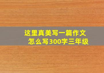 这里真美写一篇作文怎么写300字三年级